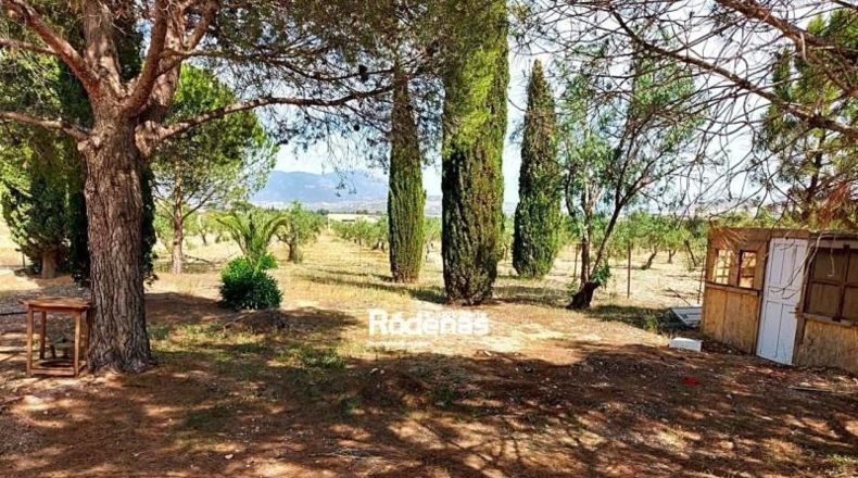 Murcia - Jumilla - 16952m2