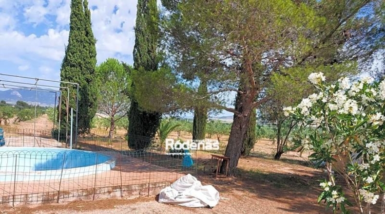 Murcia - Jumilla - 16952m2