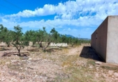 Land suitable for development for sale on España, Jumilla, ref: TR112489 photo