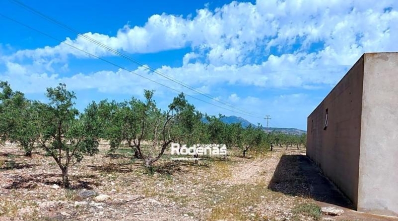 Murcia - Jumilla - 16952m2