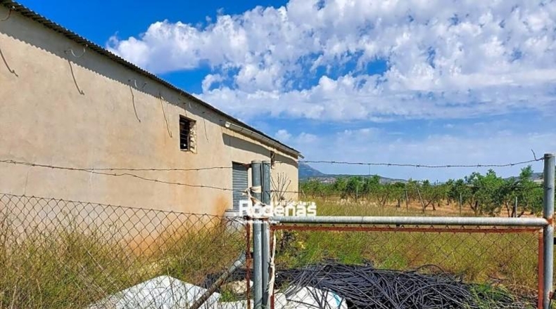 Murcia - Jumilla - 16952m2