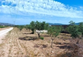 Land suitable for development for sale on España, Jumilla, ref: TR112489 photo