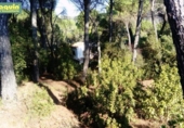 Sòl urbà en venda a la España, Encinarejo de Córdoba, ref.: TR115504 foto