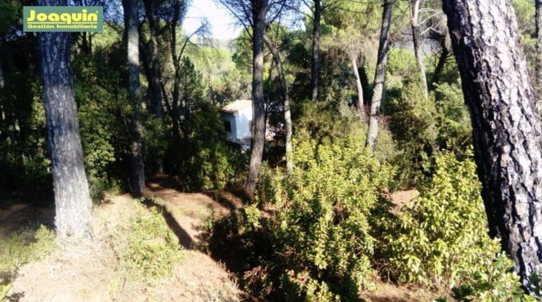 Córdoba - Córdoba - 2097m2
