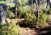 Sòl urbà en venda a la España, Encinarejo de Córdoba, ref.: TR115504 foto