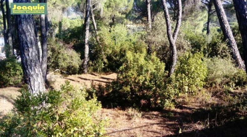 Córdoba - Córdoba - 2097m2