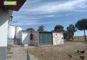 Casa de camp amb terreny en venda a la España, Villaviciosa de Córdoba, ref.: TR298066 foto