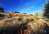 Land suitable for development for sale on España, Los Llanos, ref: TR239128 photo