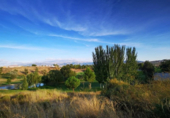 Land suitable for development for sale on España, Los Llanos, ref: TR239128 photo