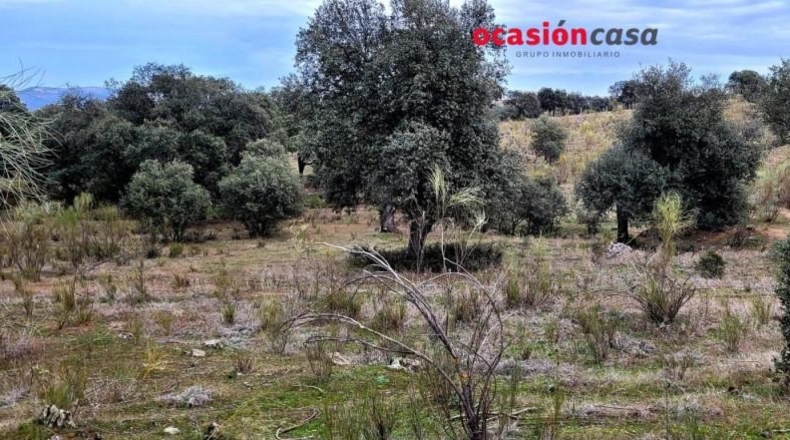 Córdoba - Torrecampo - 200000m2