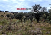Xalet independent amb terreny en venda a la España, Torrecampo, ref.: TR137471 foto