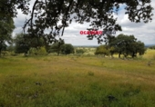 Xalet independent amb terreny en venda a la España, Torrecampo, ref.: TR137471 foto
