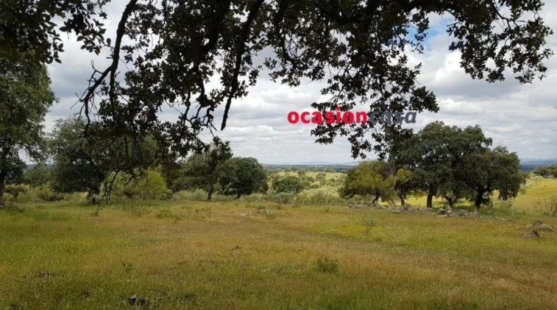 Córdoba - Torrecampo - 200000m2