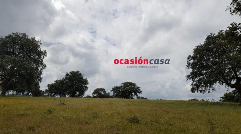 Córdoba - Torrecampo - 200000m2