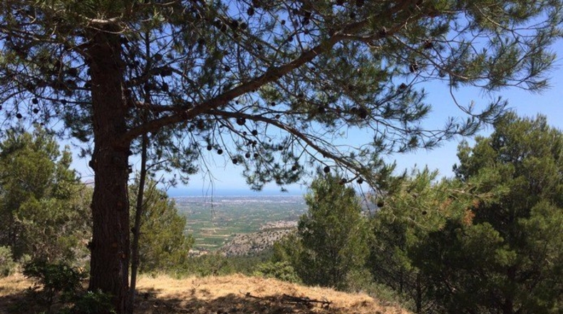 Alicante - Vall de Laguart - 13000m2