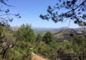 Земля на продажу у города el Campell Фото