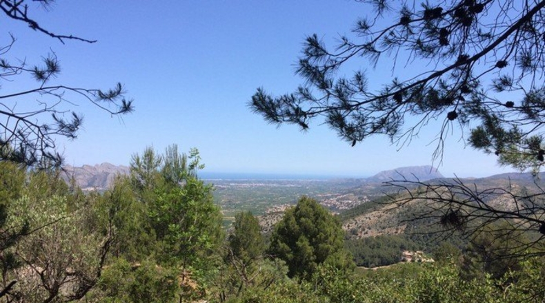 Alicante - Vall de Laguart - 13000m2