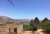 Земля на продажу у города el Campell Фото