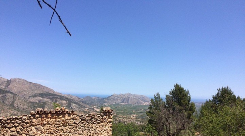 Alicante - Vall de Laguart - 13000m2