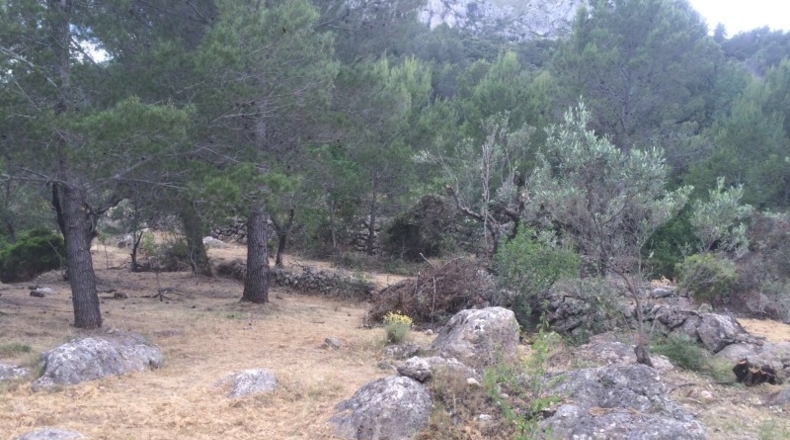 Alicante - Vall de Laguart - 13000m2