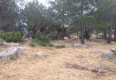 Земля на продажу у города el Campell Фото