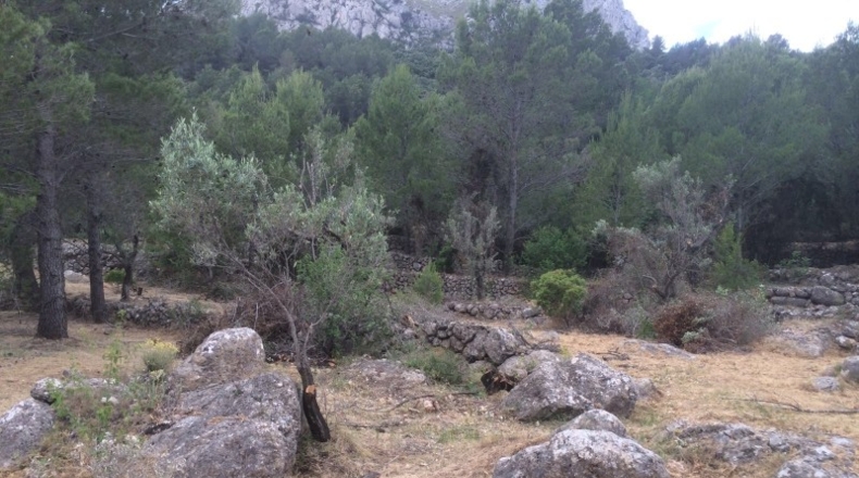 Alicante - Vall de Laguart - 13000m2
