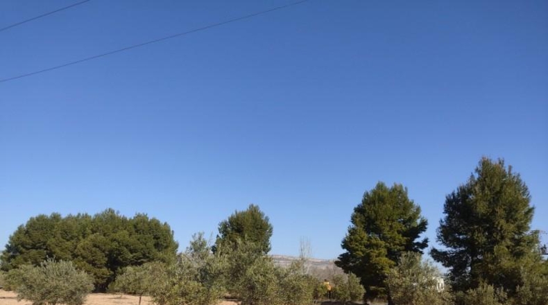 Albacete - Almansa - 15000m2