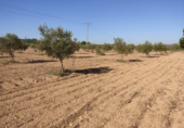 Terreny no urbanitzable en venda a la España, Almansa, ref.: TR117545 foto