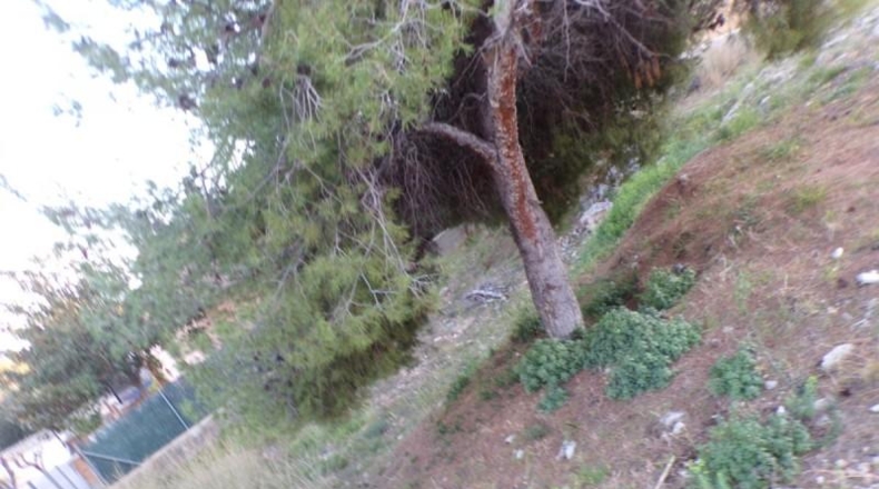Tarragona - Roda de Berà - 438m2