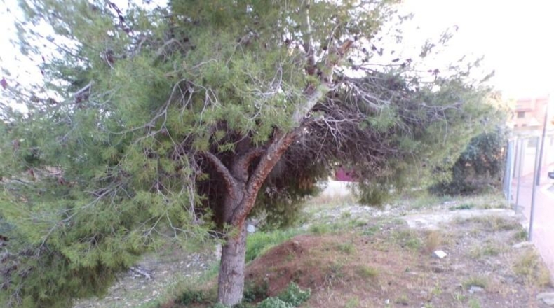 Tarragona - Roda de Berà - 438m2