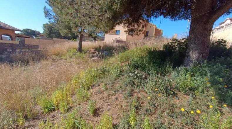 Tarragona - Roda de Berà - 438m2