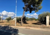 Non-developable land for sale on España, Lorca, ref: TR119787 photo