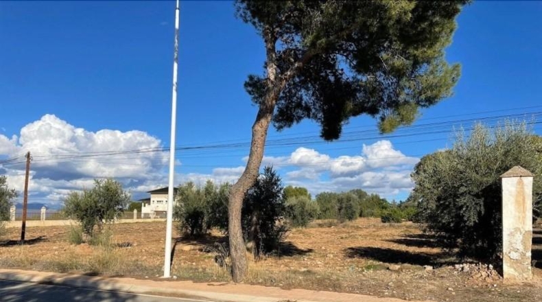 Múrcia - Lorca - 5000m2