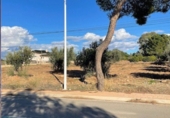 Non-developable land for sale on España, Lorca, ref: TR119787 photo