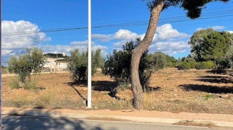 Múrcia - Lorca - 5000m2