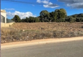 Non-developable land for sale on España, Lorca, ref: TR119787 photo