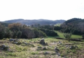 Non-developable land for sale on España, Liandres, ref: TR120101 photo
