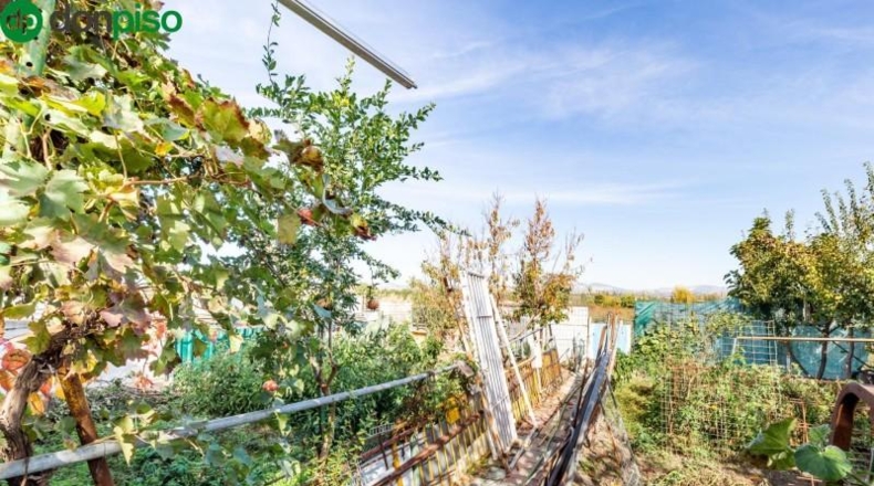 Granada - Fuente Vaqueros - 10414m2