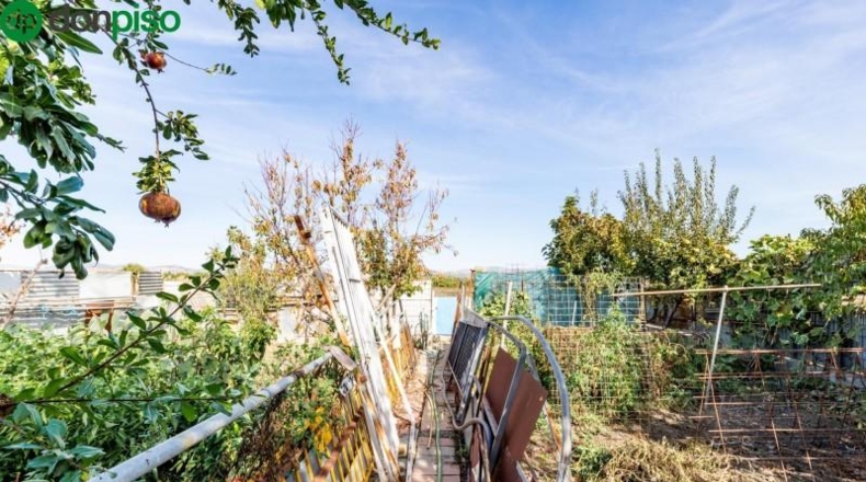 Granada - Fuente Vaqueros - 10414m2