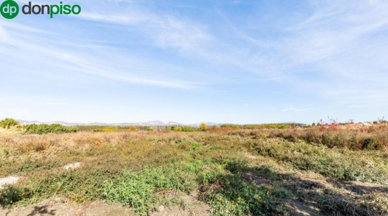 Granada - Fuente Vaqueros - 10414m2