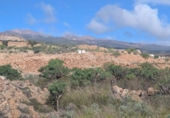 Земля на продажу у города Granadilla de Abona Фото