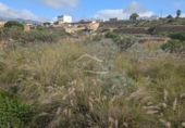 Земля на продажу у города Granadilla de Abona Фото