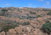 Земля на продажу у города Granadilla de Abona Фото