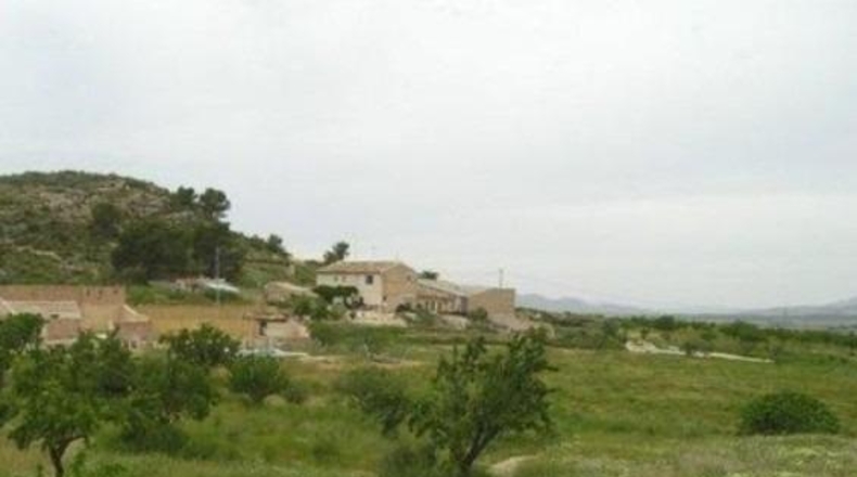 Murcia - Abanilla - 65000m2