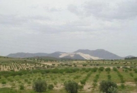 Favanella 65000&nbsp;m² 