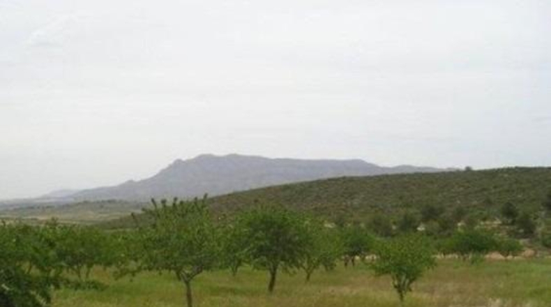 Murcia - Abanilla - 65000m2
