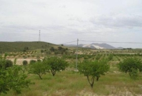 Favanella 65000&nbsp;m² 