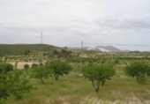 Terreny no urbanitzable en venda a la España, Favanella, ref.: TR376978 foto