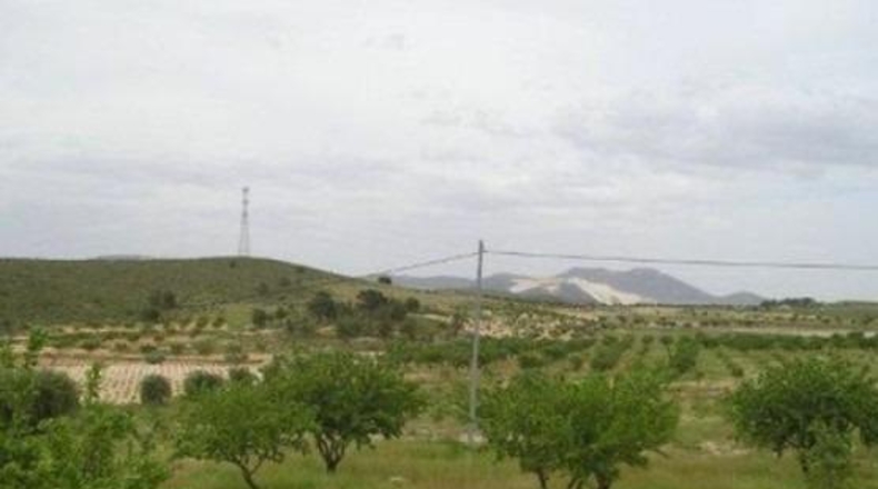 Murcia - Abanilla - 65000m2