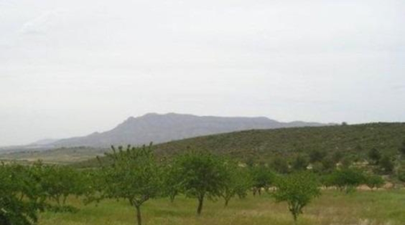 Murcia - Abanilla - 65000m2